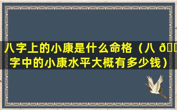 八字上的小康是什么命格（八 🐶 字中的小康水平大概有多少钱）